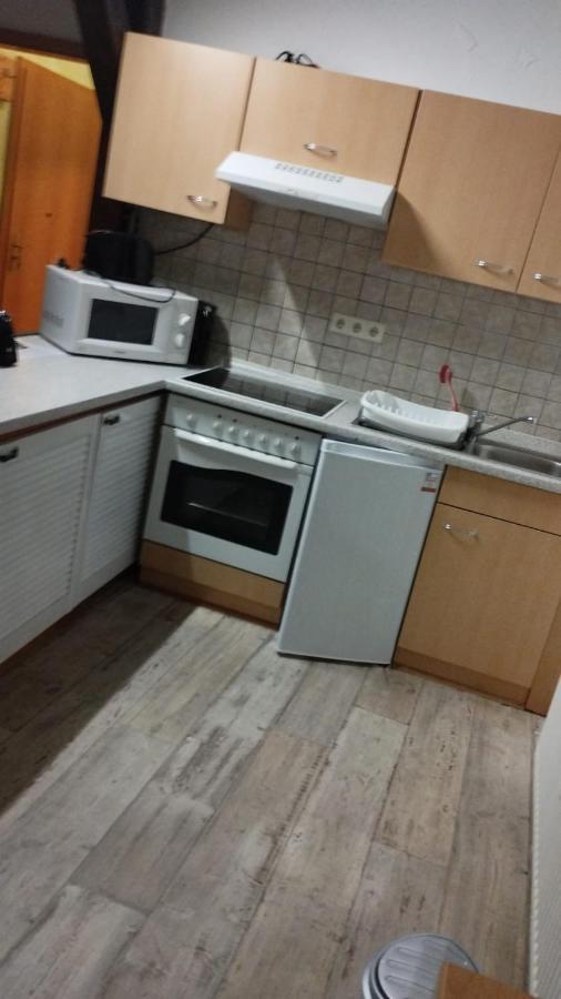 Pension Zum Holzwurm ויטנברג מראה חיצוני תמונה